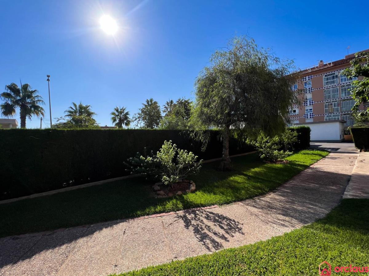 Oasis A 50m Del Mar